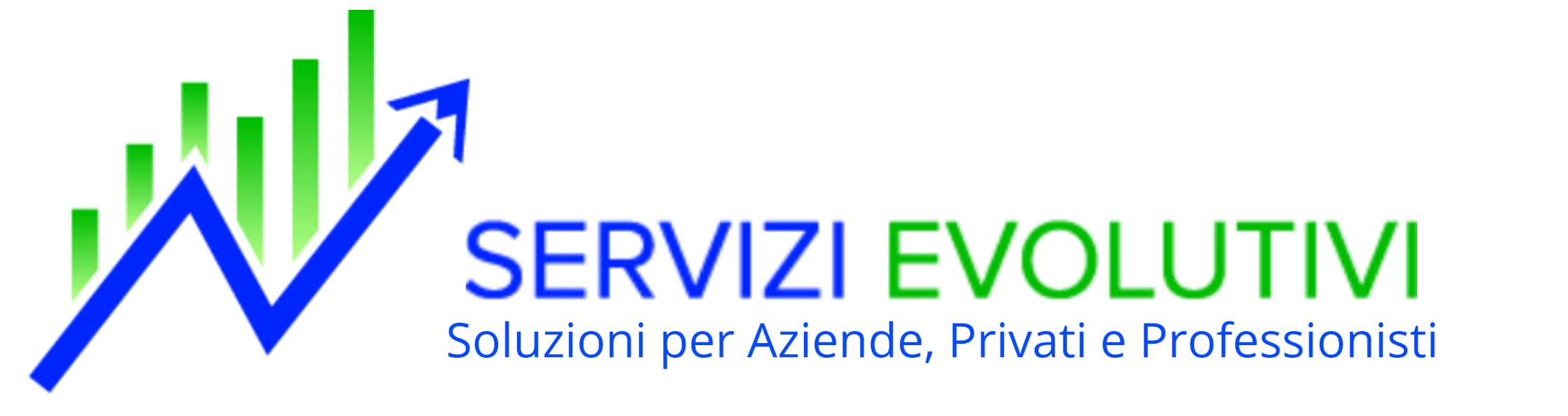 Servizi Evolutivi Srl